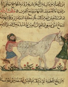 A Veterinarian Helping a Mare to Give Birth, Illustration from the 